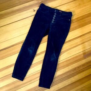 LAST CHANCE!! Deep navy blue velvet corduroy by Pilcro